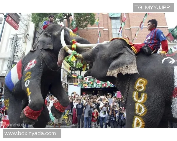 大象预测巴西与荷兰对决谁将赢得世界杯荣耀之战